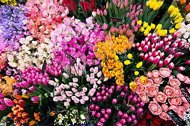 《异度神剑3》故事DLC曝光 体量媲美2代的黄金国