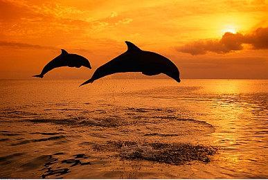 重要提醒！暴雪国服游戏退款申请今天将截止